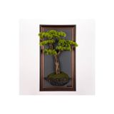 Omnia Concept Bonsai Tablaeu - 6E - Mdf Plaka Üzerinde Çerçeveli 3 Boyutlu Yapay Ağaç Tablosu 33X60 Cm