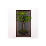 Omnia Concept Bonsai Tablaeu - 7D - Mdf Plaka Üzerinde Çerçeveli 3 Boyutlu Yapay Ağaç Tablosu 33X60 Cm