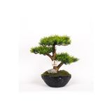 Omnia Concept Calipso Bonsai-1 Masaüstü Kullanıma Uygun Mini Yapay Bonsai Ağacı - 30X40 Cm
