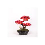 Omnia Concept Calipso Bonsai-2-1 Masaüstü Kullanıma Uygun Mini Yapay Bonsai Ağacı - 30X40 Cm