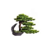 Omnia Concept Deimos Bonsai - Iç Ve Dış Mekan Kullanımına Uygun Premium Kalitede Yapay Ağaç 95x70 Cm