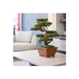 Omnia Concept Flora Bonsai-4 Masaüstü Kullanıma Uygun Doğal Ağaç Gövdeli Yapay Bonsai Ağacı - 40X50 Cm