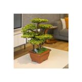 Omnia Concept Flora Bonsai-5 Masaüstü Kullanıma Uygun Doğal Ağaç Gövdeli Yapay Bonsai Ağacı - 40X50 Cm