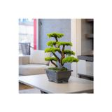 Omnia Concept Flora Bonsai-6 Masaüstü Kullanıma Uygun Doğal Ağaç Gövdeli Yapay Bonsai Ağacı - 40X50 Cm