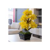Omnia Concept Flora Bonsai-9 Masaüstü Kullanıma Uygun Doğal Ağaç Gövdeli Yapay Bonsai Ağacı - 40X50 Cm