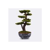 Omnia Concept Galatea Thuja-5 Masaüstü Kullanıma Uygun Doğal Ağaç Gövdeli Yapay Bonsai Ağacı - 45x60 Cm