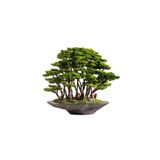 Omnia Concept Kursa Bonsai Garden - Iç Ve Dış Mekan Kullanımına Uygun Premium Kalitede Yapay Ağaç 130x120 Cm