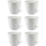 Omnipazar Krs-451 Yakamoz Tabaklı Plastik Saksı Takımı 0.65 Lt Beyaz 6 Adet