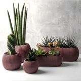 Omnipazar Krs Mercan Dekoratif Sukulent Kaktüs Plastik Saksı Takımı 5'Li Set Soft Pembe