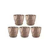 Omnipazar So-Krt2 Dekoratif Kristal Saksı Takımı 1.15 Lt Mocha 5 Adet