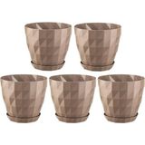 Omnipazar So-Krt5 Dekoratif Kristal Saksı Takımı 6 Lt Mocha 5 Adet