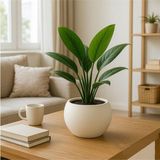 Omnipazar So-Kurs1 Dekoratif Modern Yuvarlak Küre Saksı 7.5 Litre No 1 - Beyaz