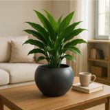 Omnipazar So-Kurs1 Dekoratif Modern Yuvarlak Küre Saksı 7.5 Litre No 1