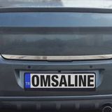 Omsa Peugeot 301 Arka 2012-2016 Arası Karlık