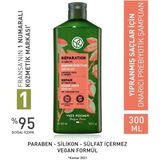 Onarıcı Prebiyotik Şampuan - Yıpranmış Saçlar / Reparation 300ML