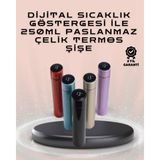Onba 250ML LED Ekranlı Paslanmaz Çelik Akıllı Termos - OB4250-6954 - Çok Renkli