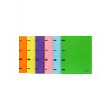 Önder Rainbow Colors A4 4 Halka Öğrenci Klasörü Mor