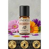 Ondéle Bois De Cèdre 10ML %100 Saf Uçucu Yağ | Difüzör ve Aromaterapi Esansiyel Yağı