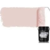 One Coat Fınısh Akrilik İç Cephe Boyası Ocf-04 Doğal Pembe 2.5Lt