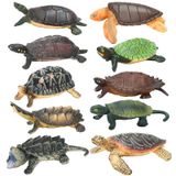 ONEST 10 Parça Mini Deniz Kaplumbağası Figürleri Oyun Seti El Boyalı Minik Deniz Kaplumbağaları Gerçekçi Detaylı Plastik Kaplumbağa Figürleri Oyuncaklar Çocuklar Yetişkinler için Küçük Kaplumbağa