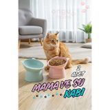 ongu home 2'li Eğimli Mama Ve Su Kabı Boyun Koruyucu Kedi Mama Kabı Eğimli Mama ve Su Kabı