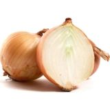 Onion Soğan* 50+ Tohum
