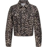 Onlanlıe Ls Aop Jacket Pnt Only Leopar Ceket