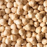 Online Kuruyemiş 1 kg Taze Kavrulmuş Fındık İçi
