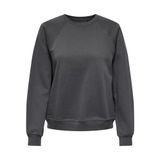 ONLY, Kadın, ONLDAZE L/S O-NECK CC SWT NOOS, Sweatshirt, Magnet, XS