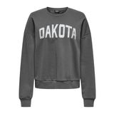 ONLY Kadın Onljolana L/S Glitter O-Neck SWT Sweatshirt, Mıknatıs/Baskı: dakota, S