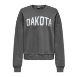 ONLY Kadın Onljolana L/S Glitter O-Neck SWT Sweatshirt, Mıknatıs/Baskı: dakota, XL