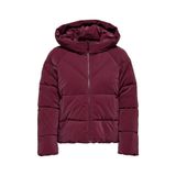 Only Puffer Mont, S, 15318451, Mor, Kadın