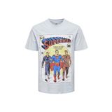 Only & Sons 22026069_ONSWB REG SS TEE O Yaka Baskılı Mavi Erkek T-shirt