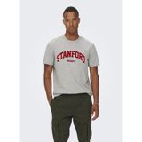 Only & Sons Bisiklet Yaka Baskılı Açık Gri Erkek T-Shirt 22023064_ONSJAKE Reg Stanford Ss 30 - 2XL
