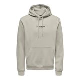 ONLY & SONS Erkek Onscurated Reg Hoodie Sweat Kapüşonlu Kazak, Gümüş Astar, XL