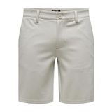ONLY & SONS Erkek Şort ONSMARK SHORTS 0209 NOOS Açık Gri M