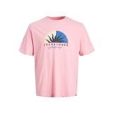 Only & Sons JORTULUM LOGO TEE SS CREW NECK LN Erkek Tişört, Prism Pink, XXL