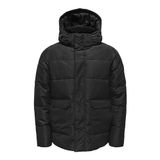 Only & Sons Onscarl Life Quilted Jacket Noos OTW Siyah Erkek Ceket