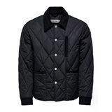 Only & Sons Onsjohnny Quılt Jacket Otw Erkek Siyah Ceket - 22034877