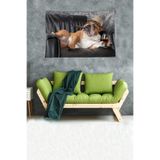 Ontheclouds Keyifçi Evcil Köpek Leke Tutmaz Kadife Dokulu Kumaş Duvar Örtüsü Duvar Halısı Tapestry, 70 x 100