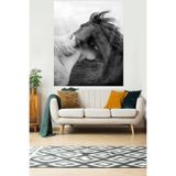 Ontheclouds Sarılan Atlar Leke Tutmaz Kadife Dokulu Kumaş Duvar Örtüsü Duvar Halısı Tapestry, 100 x 140