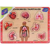 Onyıl Oyuncak ONY-287/288 Ahşap Tutmalı Vücudumuzu Tanıyalım