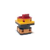 Opaş 1x25a Aç-kapa Mini Tip Kilitli Şalter