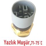 Opel Vectra B Yazlık Radyatör Fan Müşürü,1341042