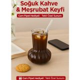 Open Home Concept 1 Adet Premium Cam Bardak Cam Pipet Hediyeli– Soğuk Kahve, Limonata ve Soda Sunumlar 500 ml