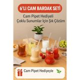 Open Home Concept 6 Adet Premium Cam Bardak Cam Pipet Hediyeli– Soğuk Kahve, Limonata ve Soda Sunumlar 500 ml