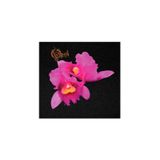 Opeth Orchid Albüm Arma Peç Patch Yama