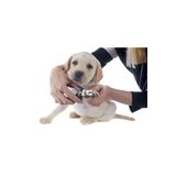 Optana Kedi Köpek Evcil Hayvan Yaylı Tırnak Makası Kavisli Tırnak Düzeltme Kesme Makası