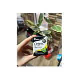 Optima DUMAN MEDİKAL ŞEKER STRİPİ 50 Lİ (1 KUTU)