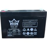 Or-Tec Ortec Kuru Akü 6 V 7 Ah
